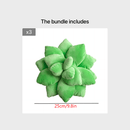 Succulent Pillow, Cute Pillows, Accent Pillows For Green Succulent Themed Home Decor, Soft Plush Cushions, Gifts For Succulent Lovers Or Kids (Dark Green) As Halloween, Chrismas Gift