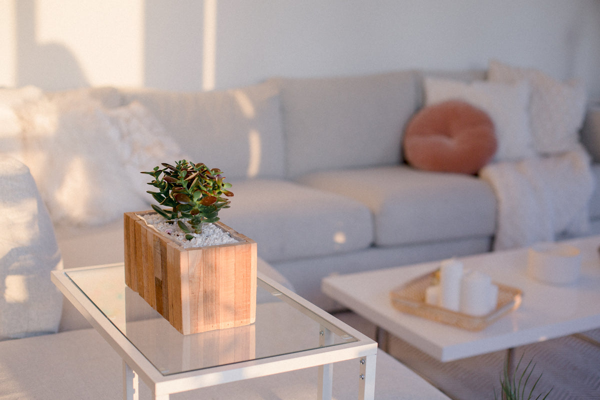 Modernos Decor
